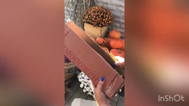 Распаковка садовых растений смотреть онлайн