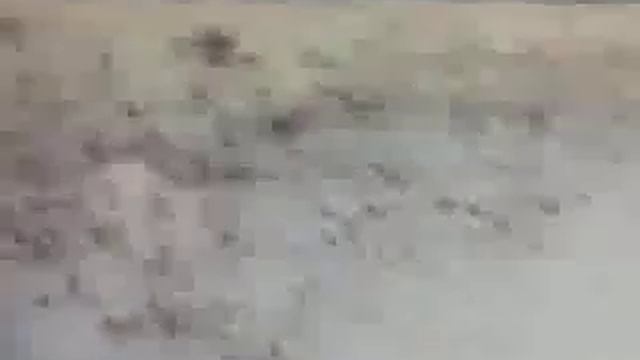 Бездействие "Управляющей компании" смотреть онлайн