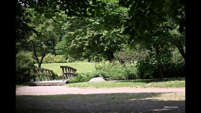 Прогулка по Московскому Ботаническому Саду смотреть онлайн