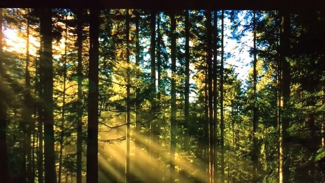 Маска от Пигментации, от морщин , от акне, выравнивает цвет кожи.