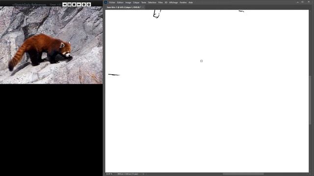Reference Sketchdaily Animals Drawing #1 (2min) смотреть онлайн