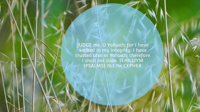 TRUST YAHUAH DAILY AFFIRMATION смотреть онлайн