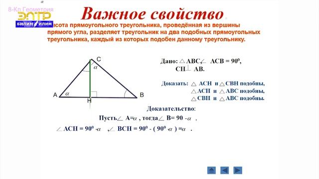 Алгебра 8-класс (Пропорционально отрезки в прямоугольном треугольнике) смотреть онлайн