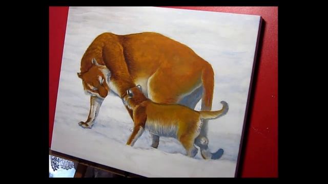 Рисуем амурских тигров смотреть онлайн