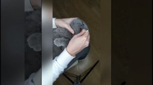 Удаление зубного налета у кошки зубным гелем для кошек Дентаведин