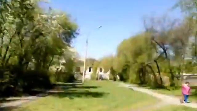 Охота на чаек (Песикиии) смотреть онлайн