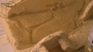 Как сделать объемный фон для террариума. Часть 2. Заметки террариумиста №4