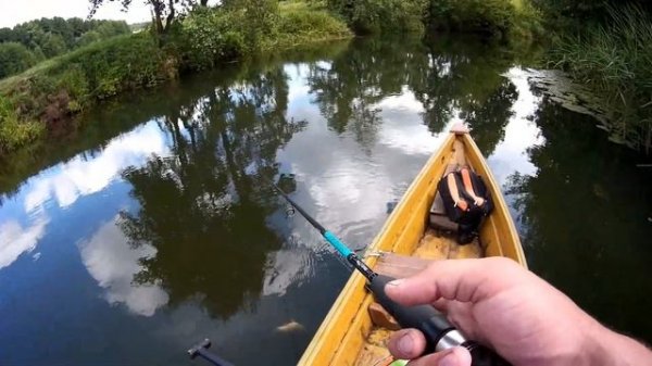 РЫБАЛКА НА МИКРОРЕЧКЕ!!!ГОЛАВЛЬ!!БЛЕСНА MAD FISH