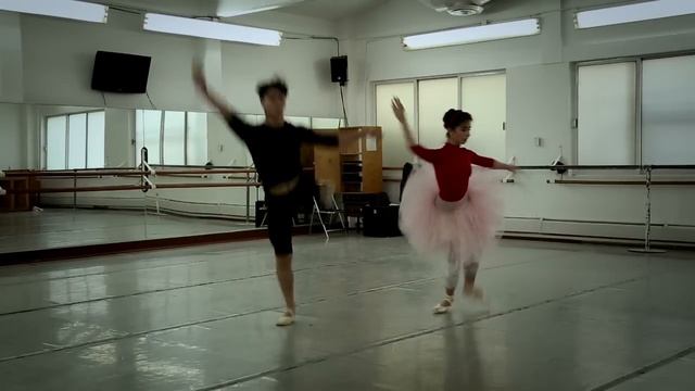 ¿Qué Es El Ballet?