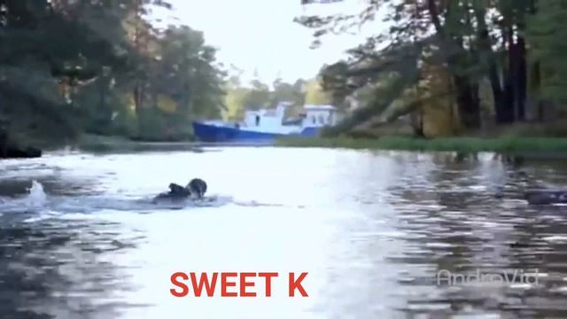 Костья и Бэлла [ты не для меня] смотреть онлайн