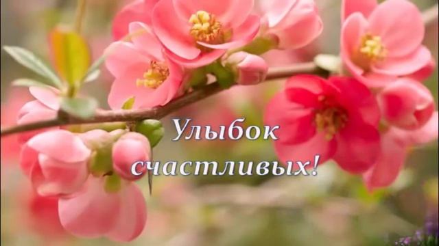 Прикольно поздравить смотреть онлайн
