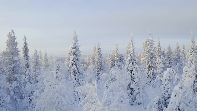 Горные вершины (Video UHD)