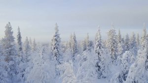 Горные вершины (Video UHD)