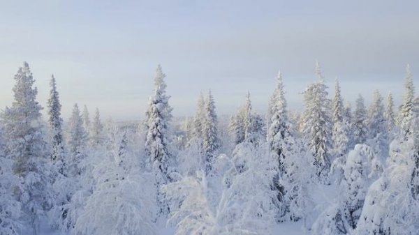 Горные вершины (Video UHD)