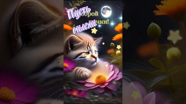 Доброй ночки, красивых снов ?