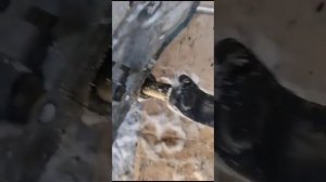 Устранение течи Кулисы мкпп Nissan Atlas 4WD P8F23