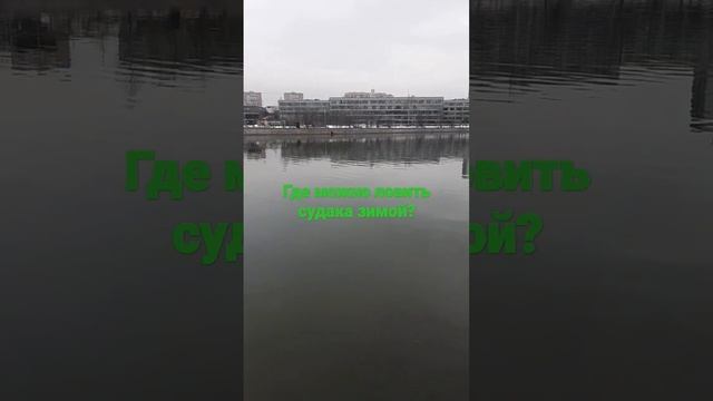 Где можно ловить судака зимой) смотреть онлайн