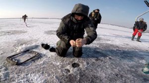 РАТЛИН - БЛЕСНА - БАЛАНСИР Кто победил. Ловля судака зимой / Судак