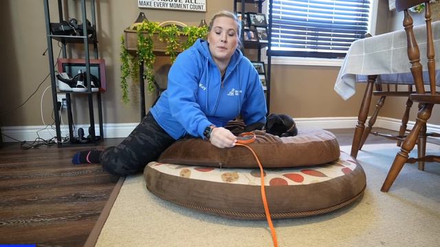 Avoid THESE Puppy Training First Week MISTAKES! смотреть онлайн