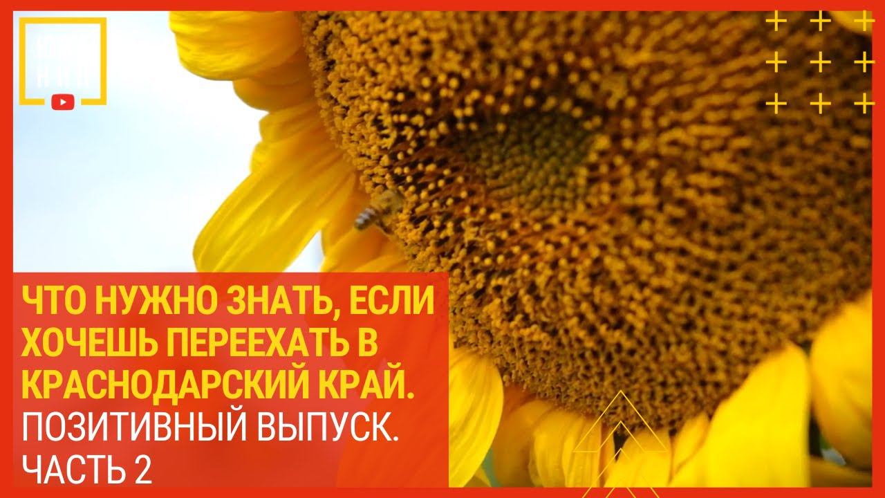 Что нужно знать, если хочешь переехать в Краснодарский край 2 смотреть онлайн