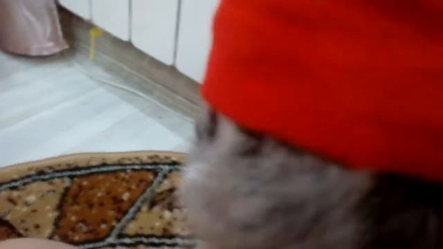 Занимаемся физкультурой вечер с босиком.1часть!! смотреть онлайн