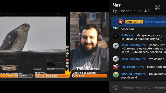 Володя смотрит: MZLFF - Бебры все в Адидасах (BadPiggies, Original, Full Version)~