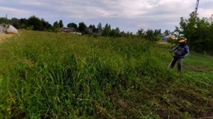 Как и чем косить ботву с травой на картофеле перед уборкой урожая