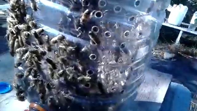 Подготовка изолятора Джинн к зимовке. смотреть онлайн