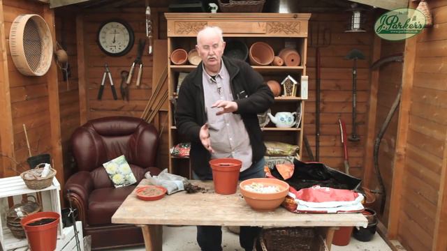 How to Plant Peonies: Spring/Summer Guide смотреть онлайн