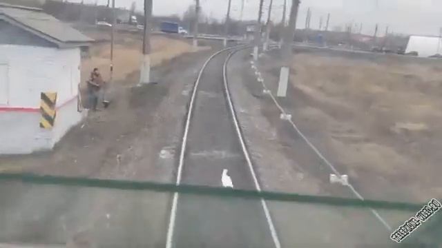 Ну заяц, погоди жесть заяц быстрей поезда смотреть онлайн