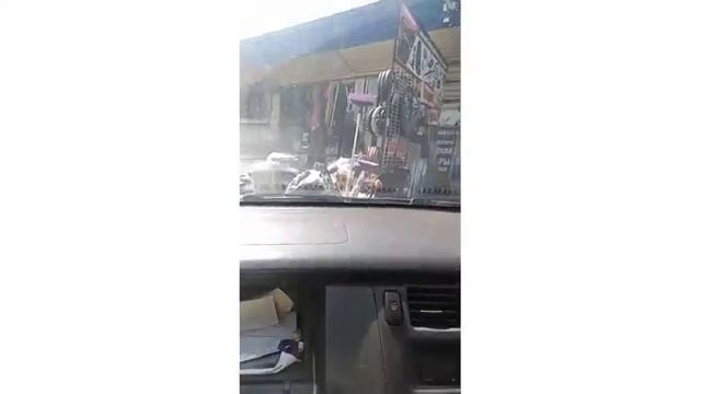 Как ухаживать за индюками смотреть онлайн