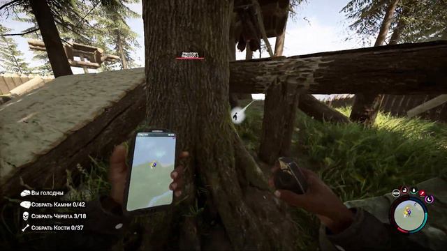 Черные баги/Sons Of The Forest