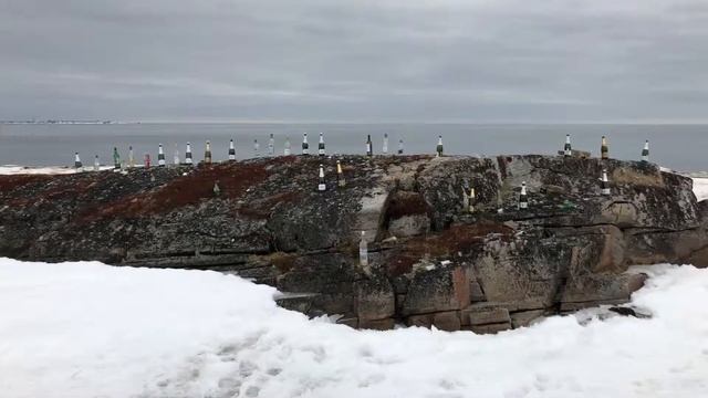 Сосновка Мурманская область апрель 2019 смотреть онлайн