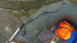 ЩУКА НА КАЖДОМ ЗАБРОСЕ! Рыбалка на Иртыше.Ловля щуки в коряжнике. Омская область, сентябрь 2017 год