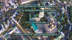 К чему снится Тыква сонник, толкование сна