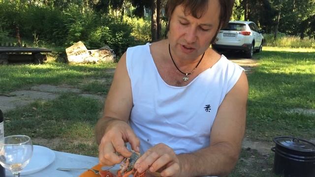 24 ноября 2015 г. смотреть онлайн