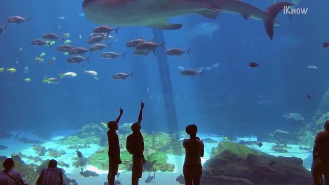 5 самых огромных инженерных сооружений смотреть онлайн