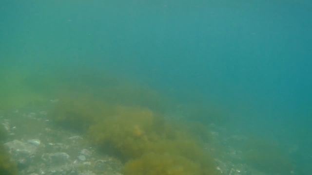 Rikord island first time смотреть онлайн