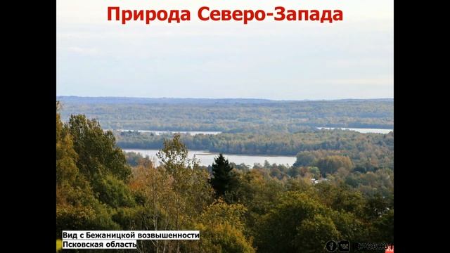 9 класс - Северо-Запад России: состав, географическое положение, природа смотреть онлайн
