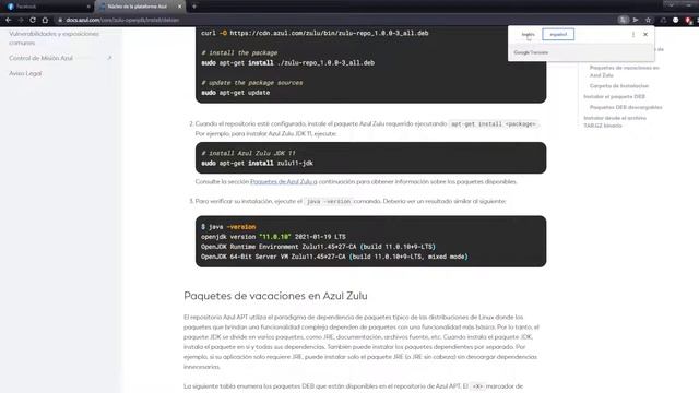 INSTALAR DISTINTAS VERSIONES DE JAVA PARA SERVIDORES | VPS PARA MINECRAFT JAVA 8 - 11 - 12 - 17 смотреть онлайн