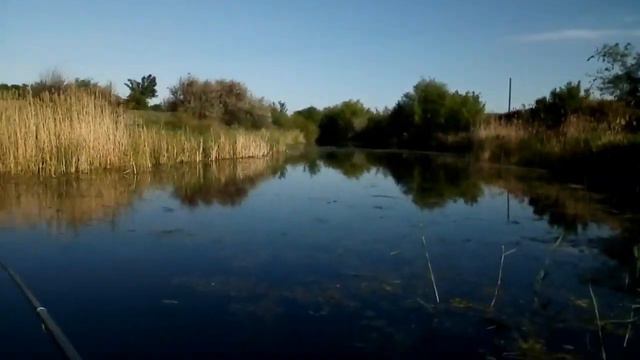 Еду на рыбалку (2020) смотреть онлайн