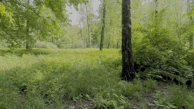 Настройка на 17 аркан смотреть онлайн