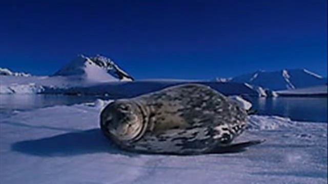 Hamradio From The Antarctica Area.