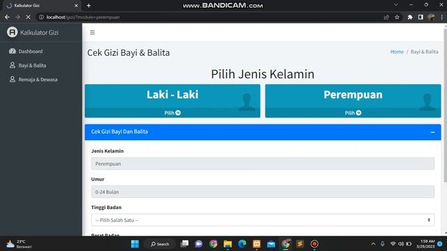 Review Aplikasi Kalkulator Gizi Berbasis Web Menggunakan PHP & MYSQLI смотреть онлайн