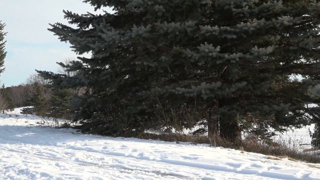 Thomas Gilbert DESTROYS our Course, then Teaches us How to Build it! | Part 2 of 3 | смотреть онлайн
