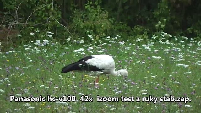 Panasonic hc-v100 смотреть онлайн