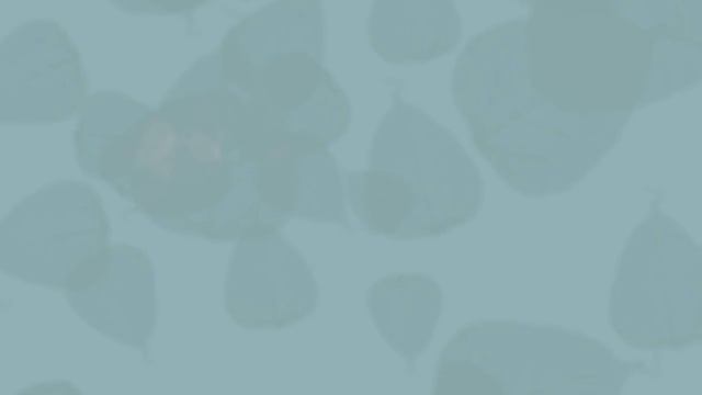 HOW TO FIT A WOODEN VENETIAN BLIND for exact or recess blind - YouTube смотреть онлайн