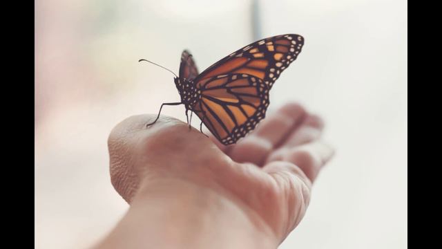 Kayak - Anywhere But Here