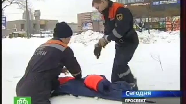 ястреб тетеревятник Goshawk