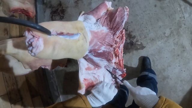 Шкуросъемный нож от Кузницы Панова в работе.